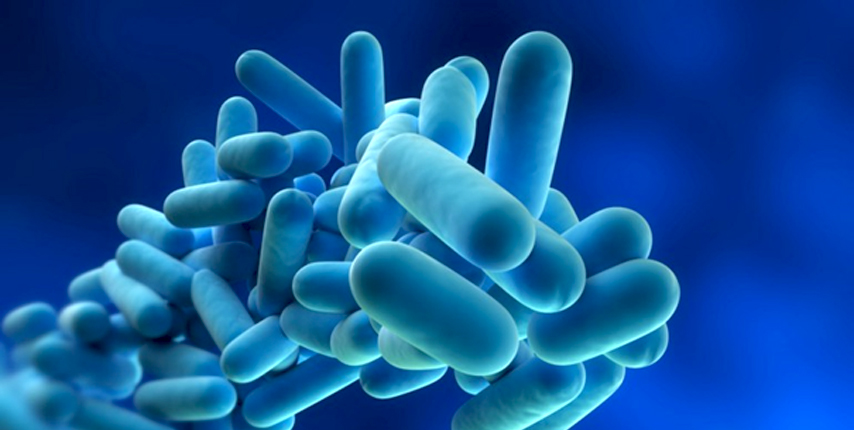 Legionella Kimyasalları,Legionella Chemicals and Biocides